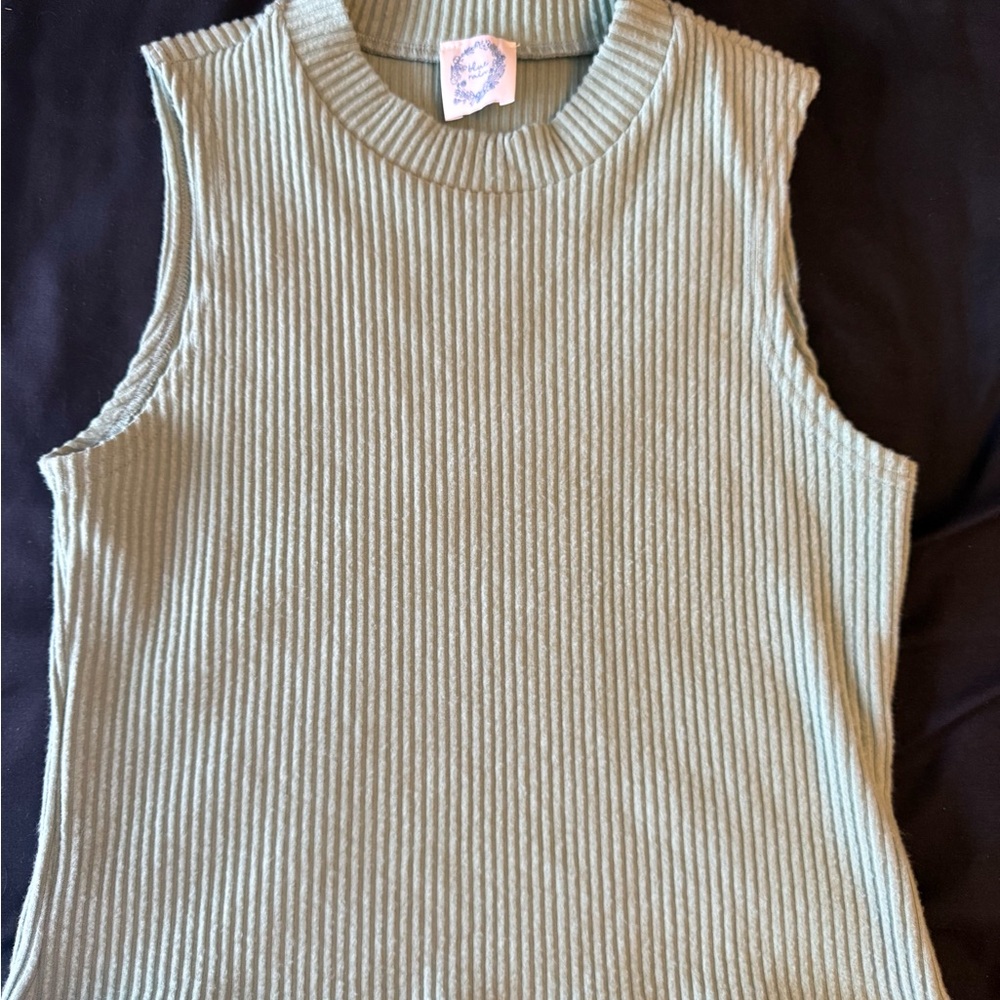 Blue Rain Ribbed Knit Top in Soft Green